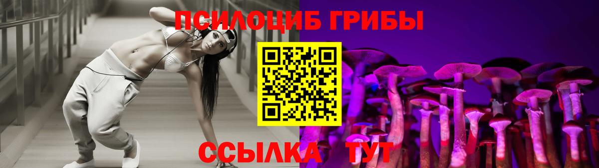 дарнет шоп  Вход с VPN  Дмитров  Галлюциногенные грибы Cubensis 