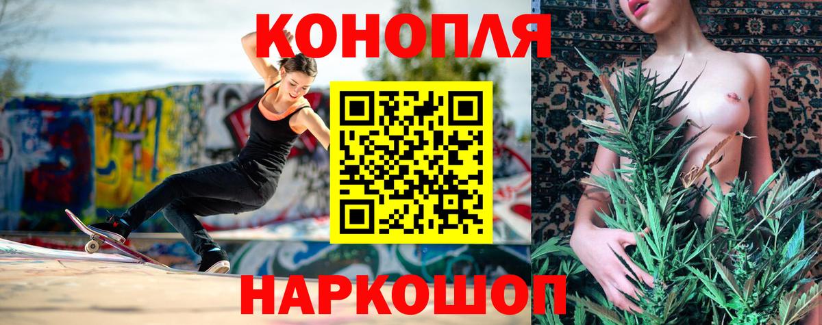 Бошки Шишки планчик Дмитров